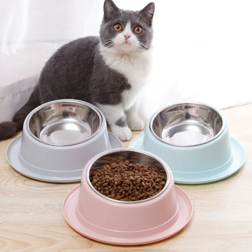 The Anti-Vomiting Cat Bowl