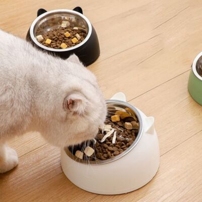 The Anti-Vomiting Cat Bowl